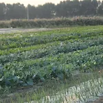 Ca' Vascon Agrituristico ホテル Villa Estense