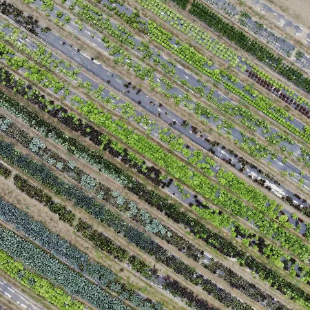 Hotel Ca' Vascon Agrituristico Villa Estense