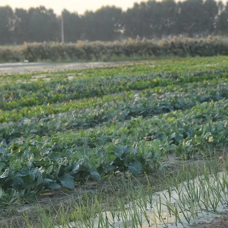 Ca' Vascon Agrituristico Hotel Villa Estense