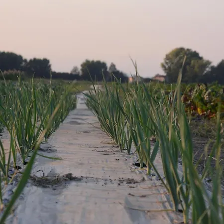 Ca' Vascon Agrituristico