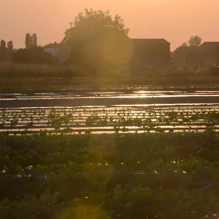 Ca' Vascon Agrituristico Villa Estense