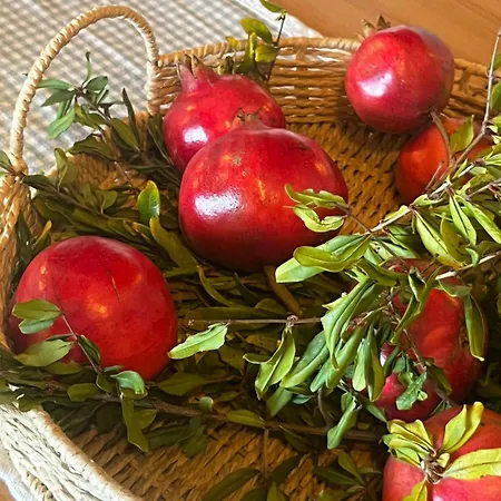 Ca' Vascon Agrituristico Hotel *