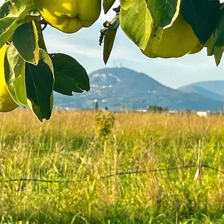 Ca' Vascon Agrituristico Hotel