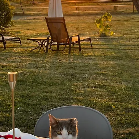 Hotel Ca' Vascon Agrituristico *