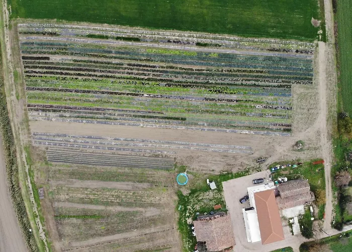 Ca' Vascon Agrituristico ホテル *